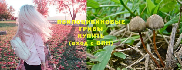 бошки Кодинск