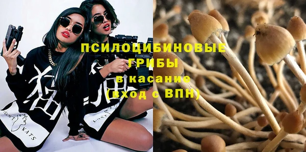 apvp Корсаков